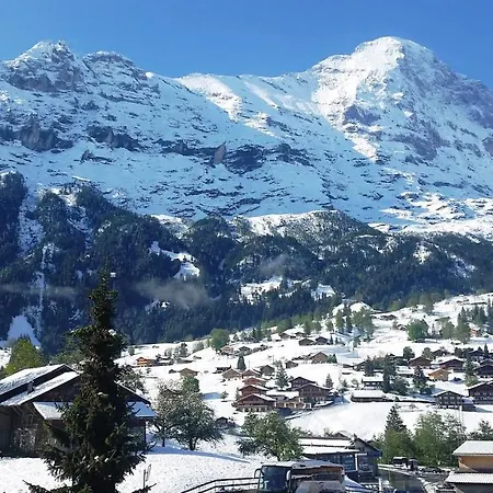 Chalet Adele Grindelwald Exterior foto